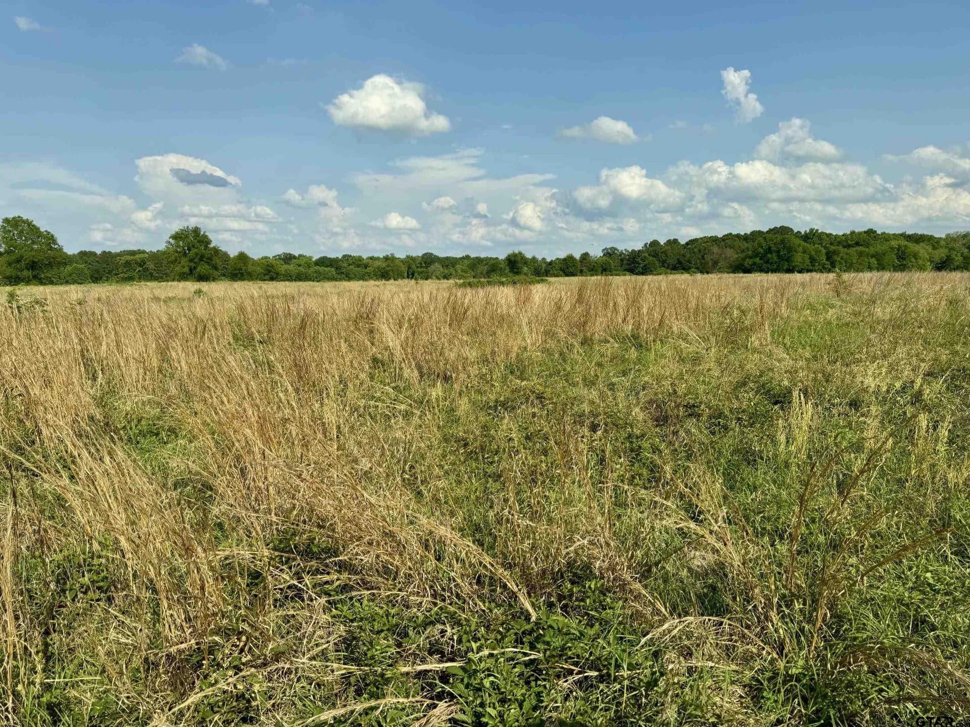 32.35 acres in Wood County - photo 5