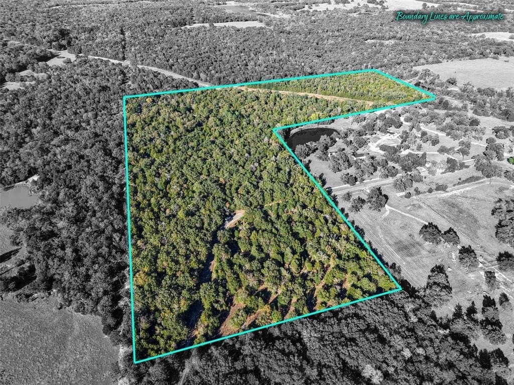 45 acres in Freestone County gallery image 3