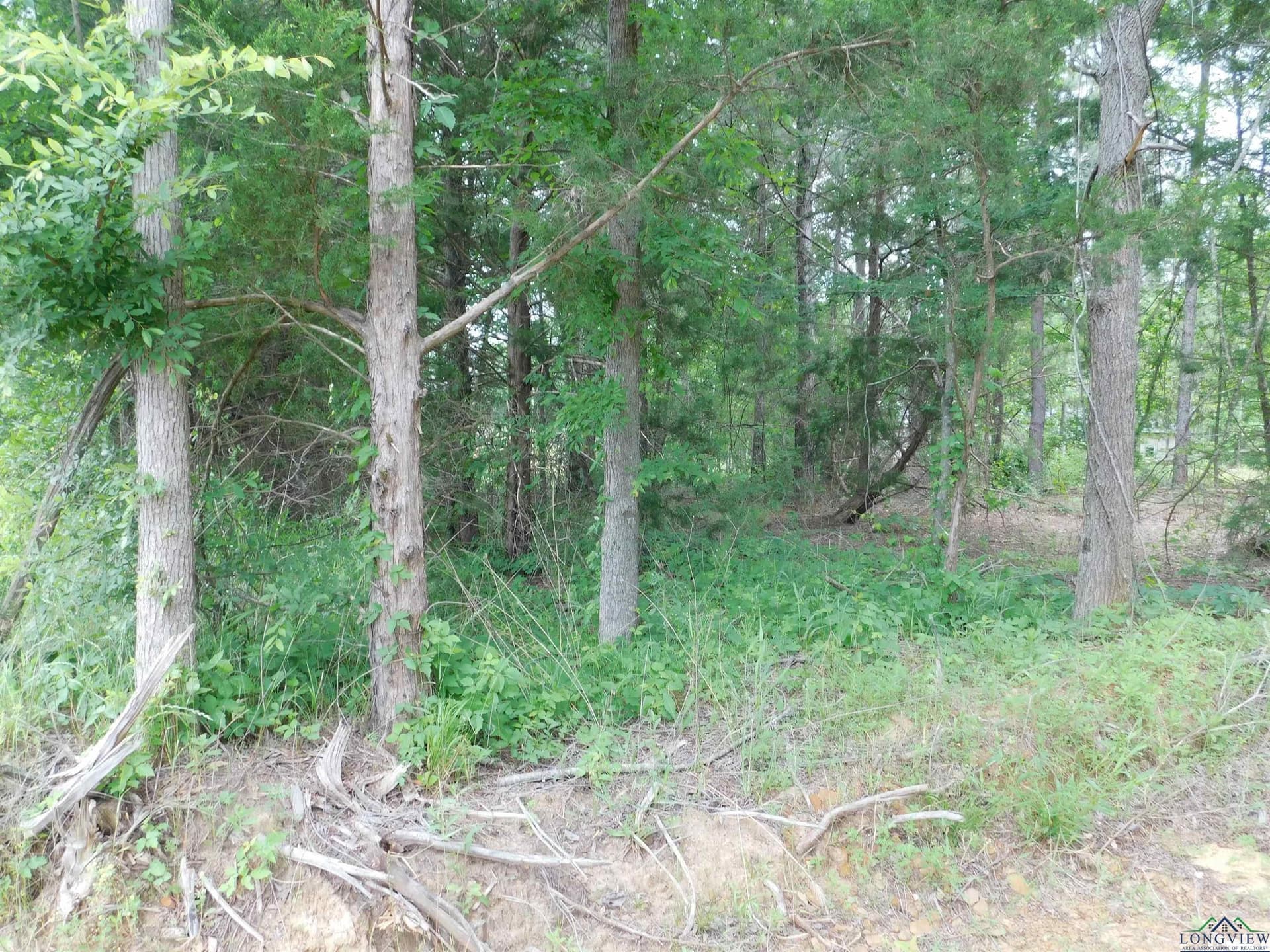 0.71 acres in Texas County gallery image 2