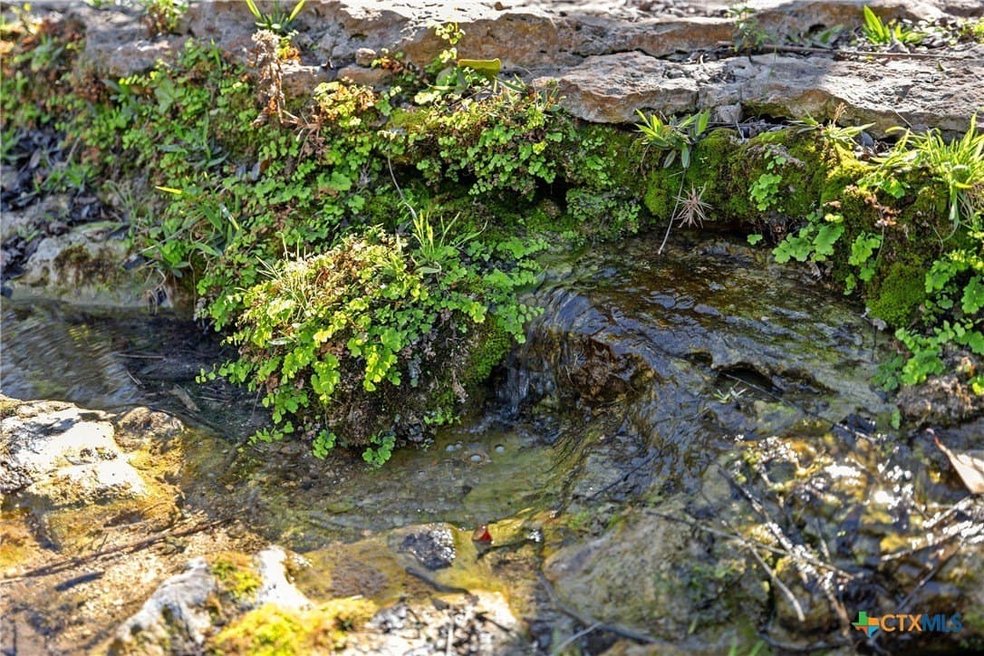 3.13 acres in Blanco County gallery image 2