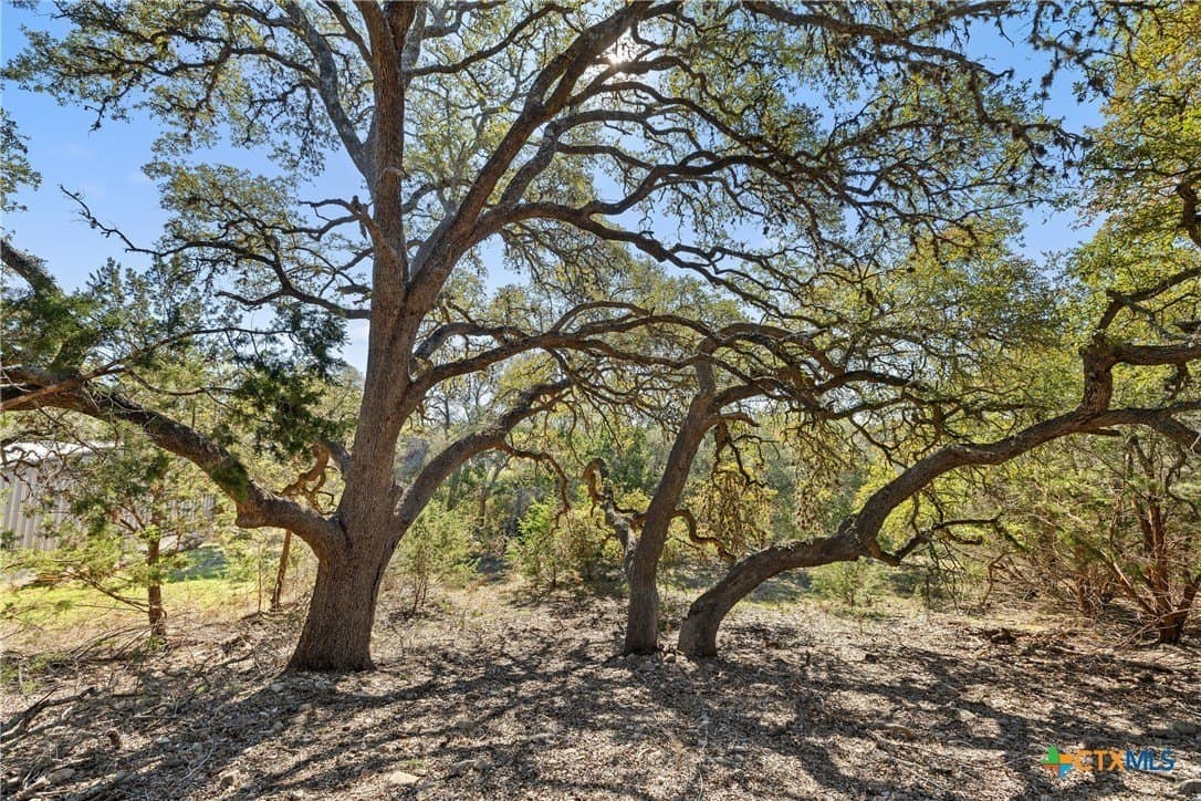 3.13 acres in Blanco County gallery image 4