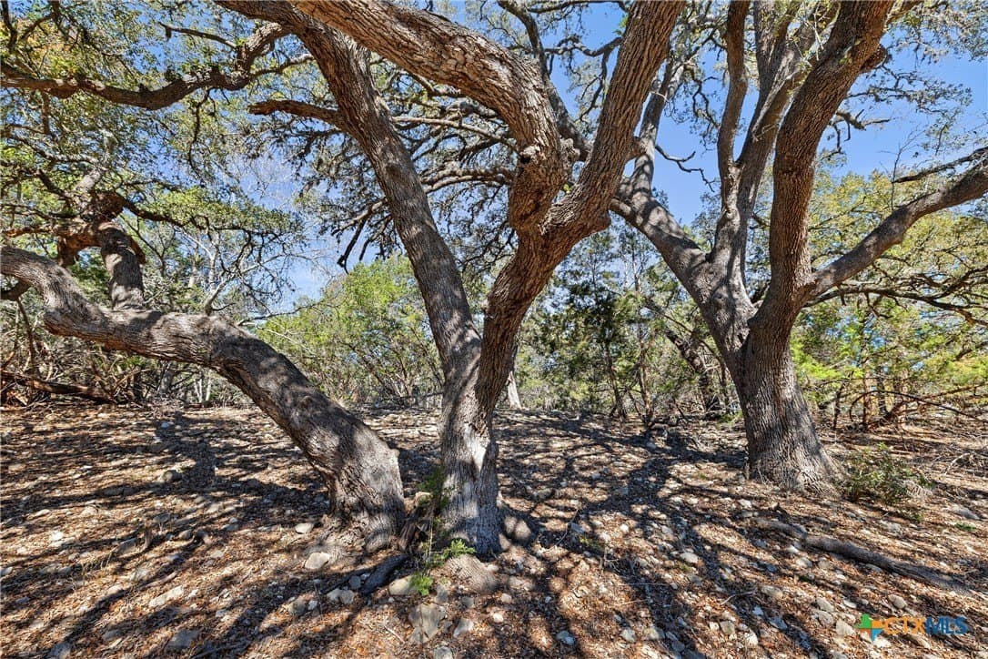 3.13 acres in Blanco County featured view