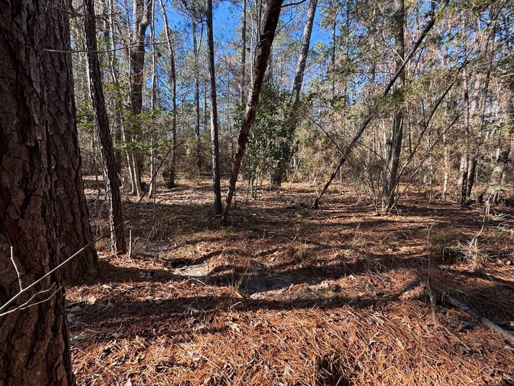 0.37 acres in Texas County - photo 7