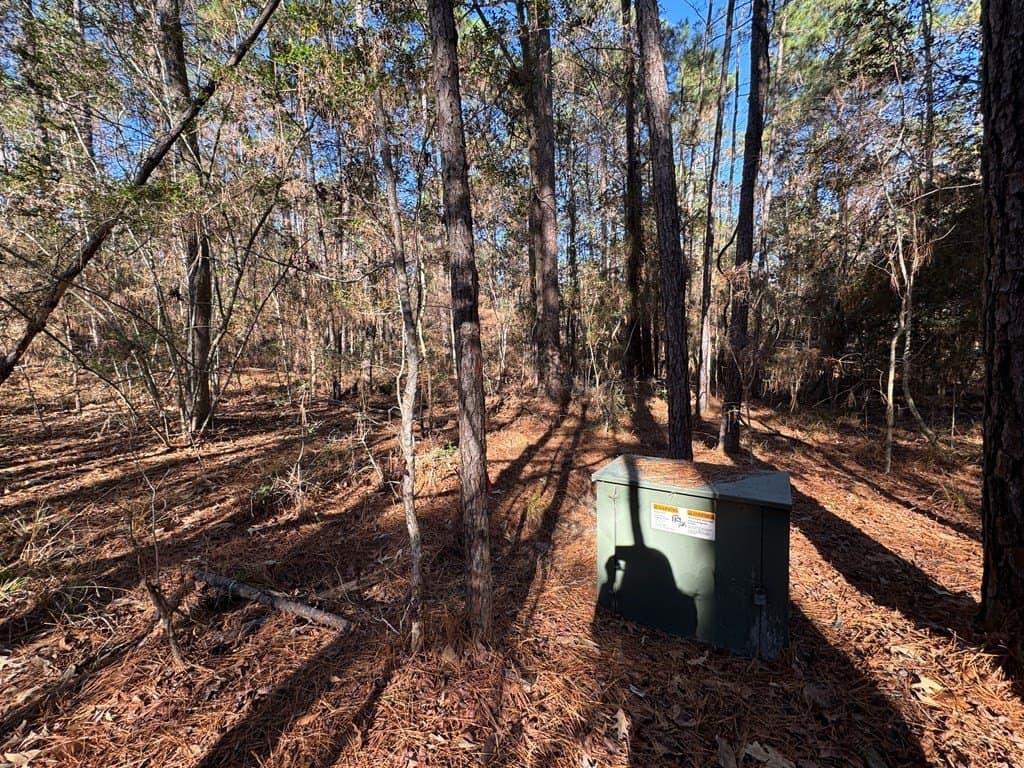 0.37 acres in Texas County - photo 8