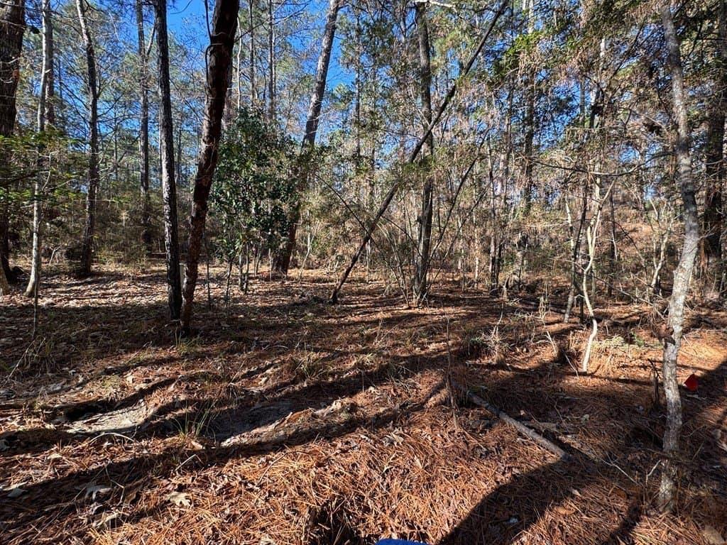 0.37 acres in Texas County - photo 6