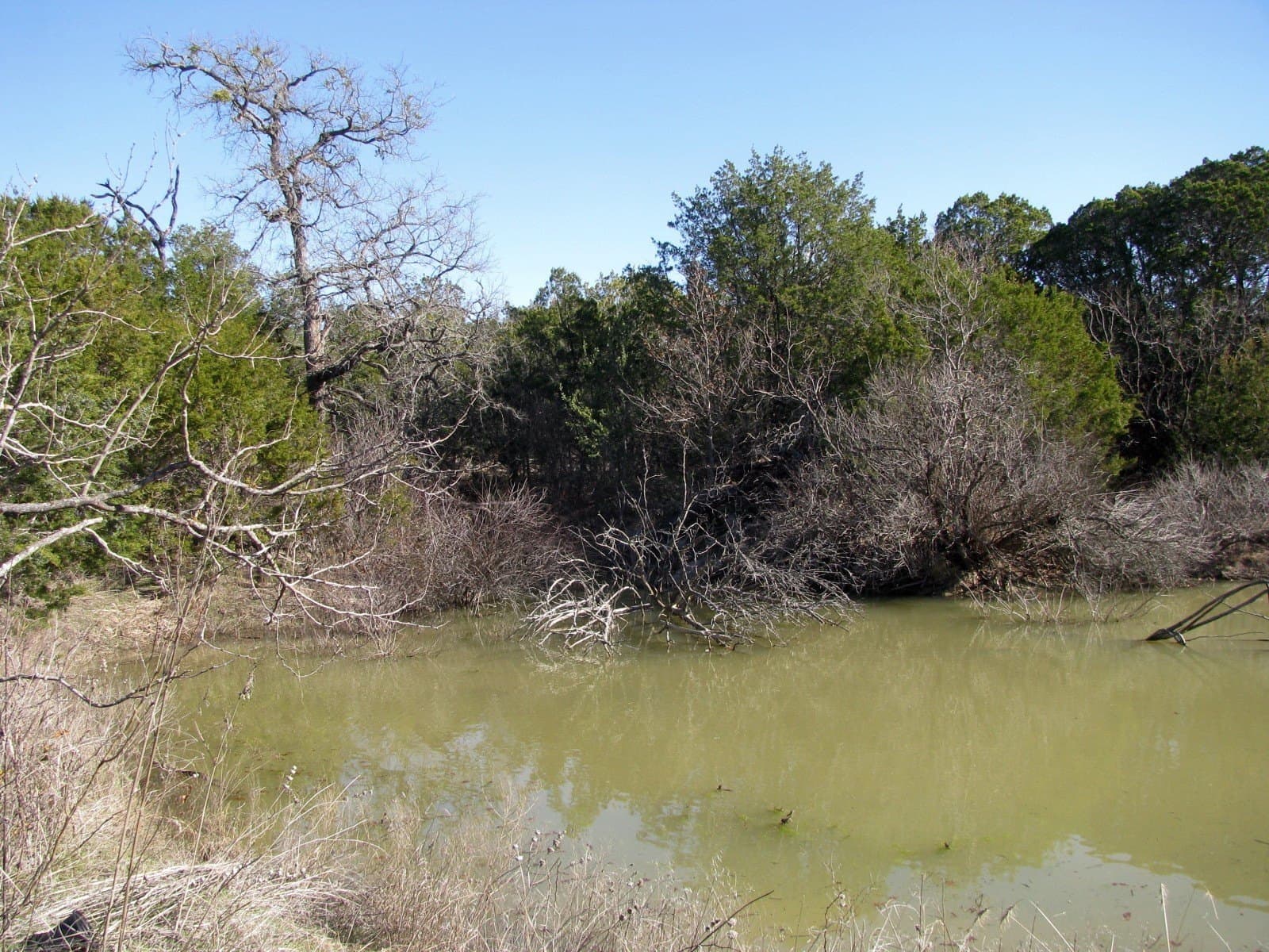 10.01 acres in Hamilton County - photo 6