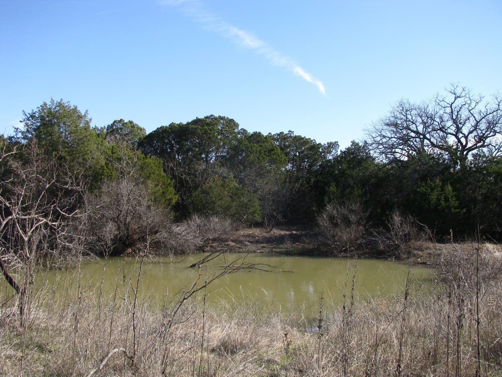 10.01 acres in Hamilton County - photo 7