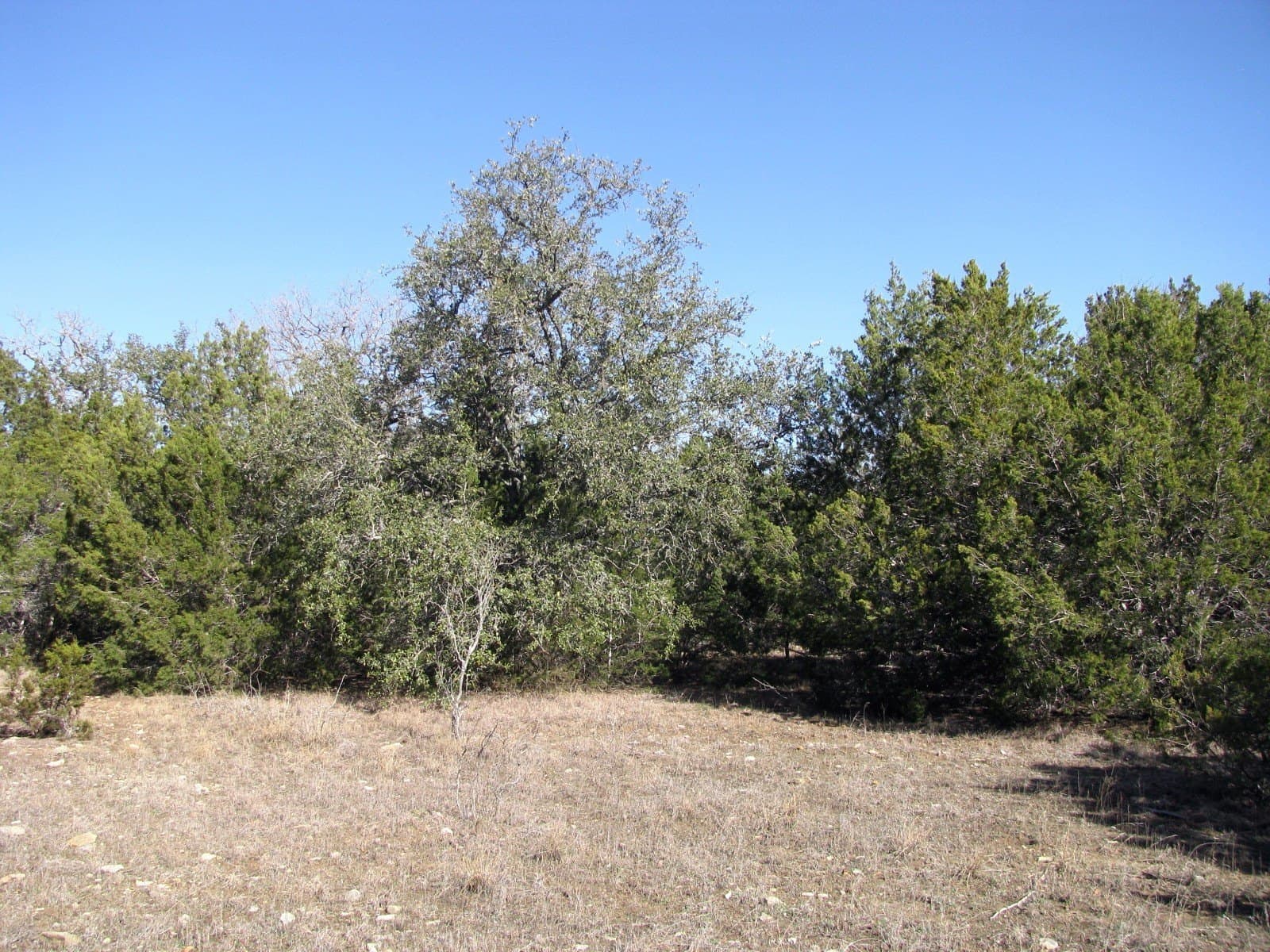 10.01 acres in Hamilton County - photo 15