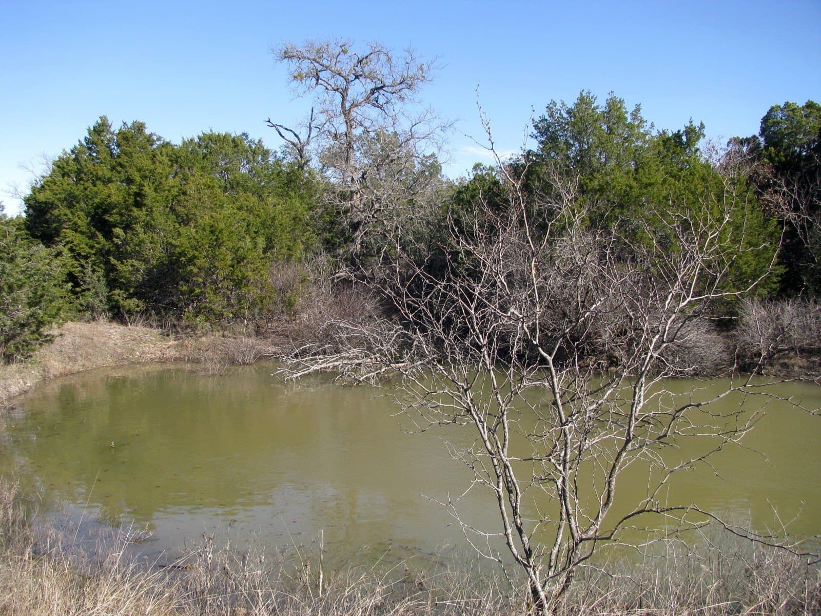 10.01 acres in Hamilton County