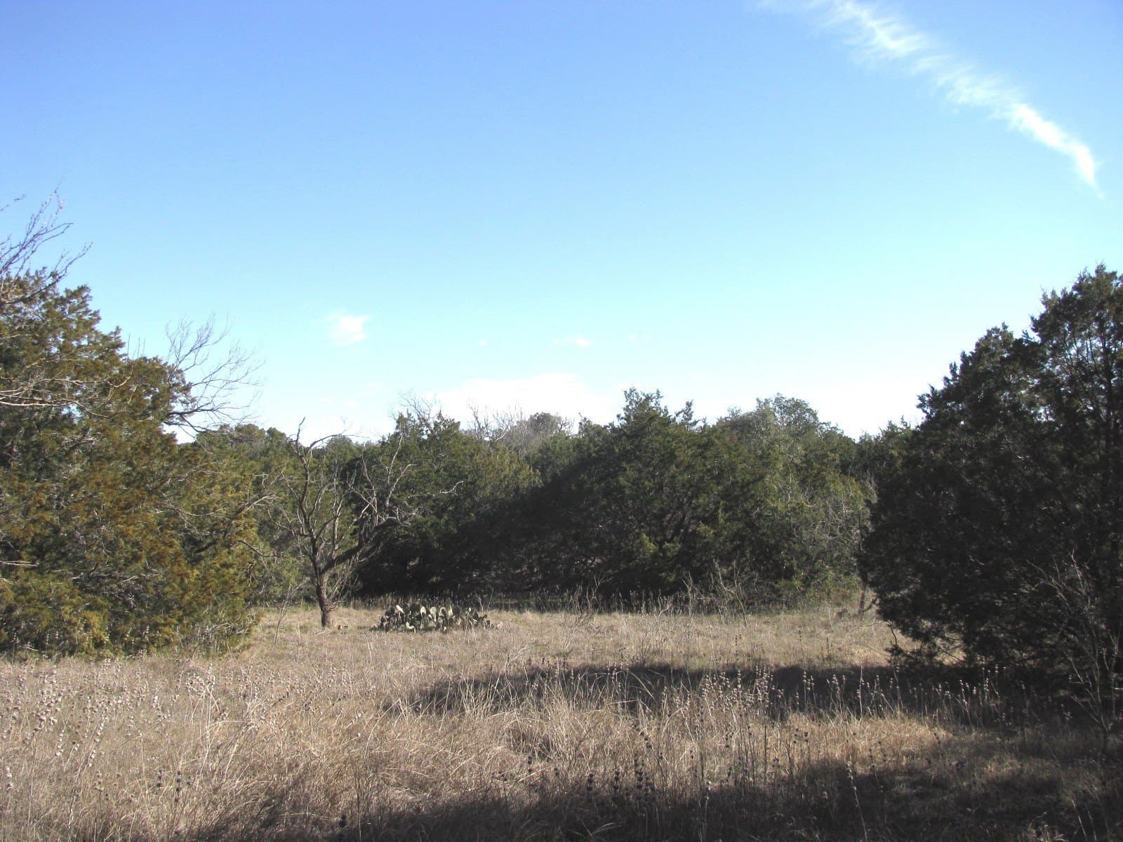 10.01 acres in Hamilton County - photo 5