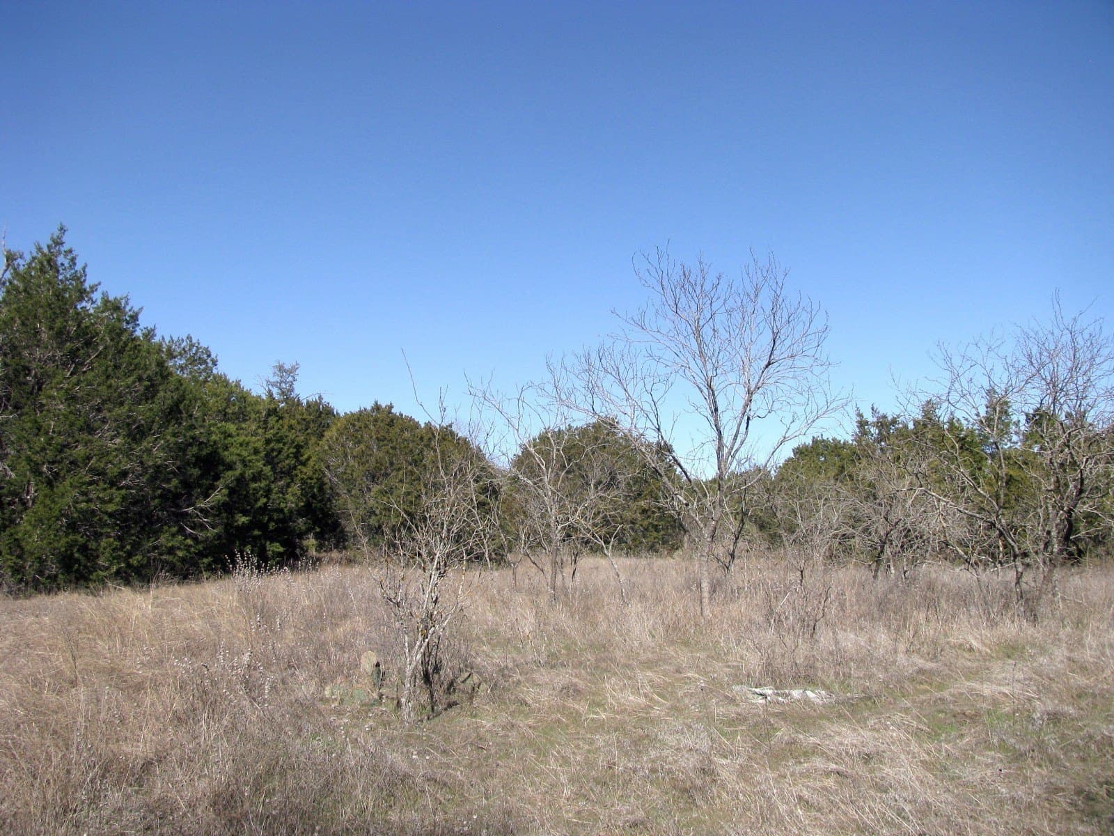 10.01 acres in Hamilton County - photo 14