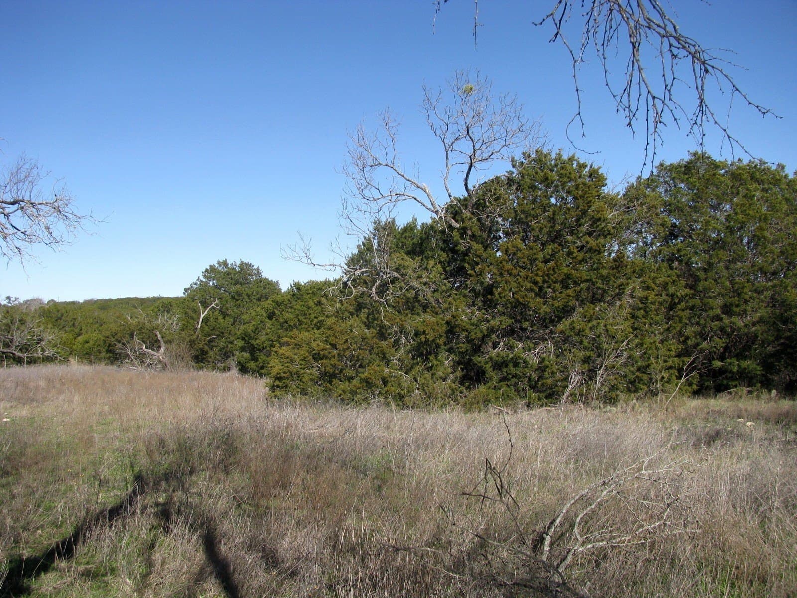 10.01 acres in Hamilton County - photo 23
