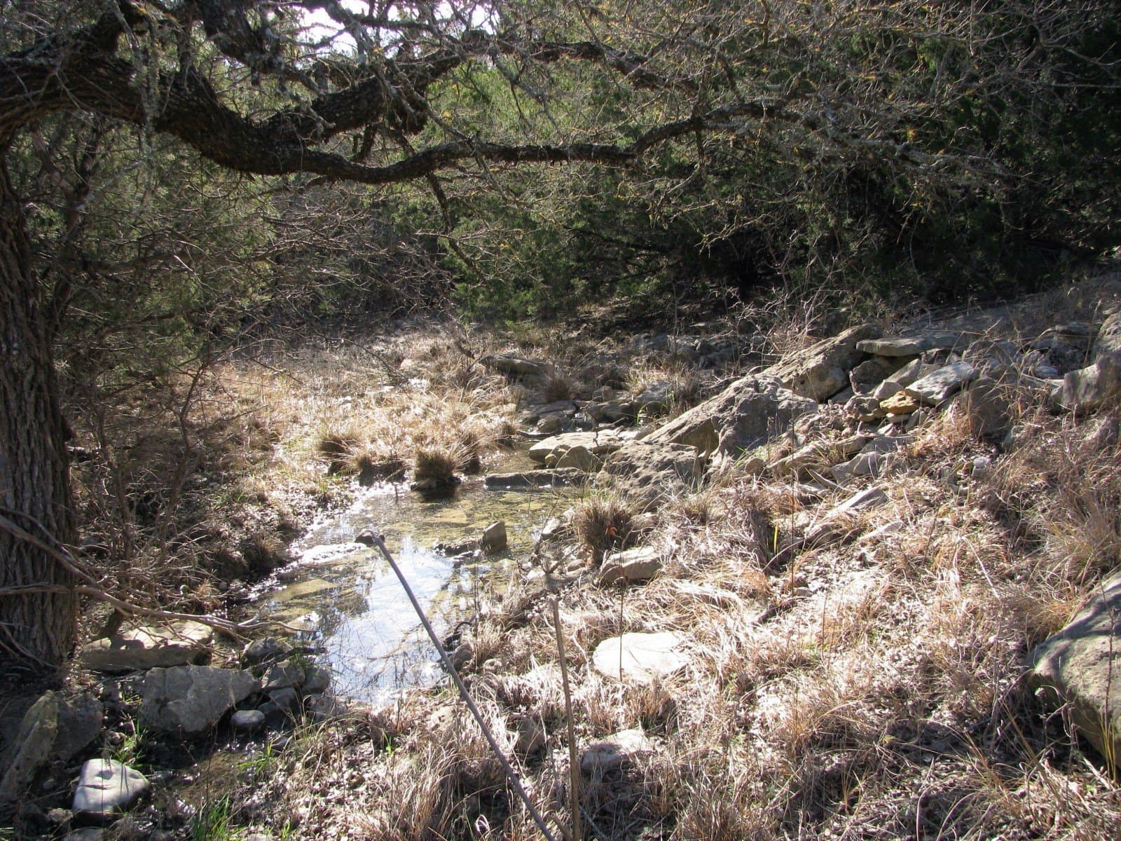 10.01 acres in Hamilton County - photo 2