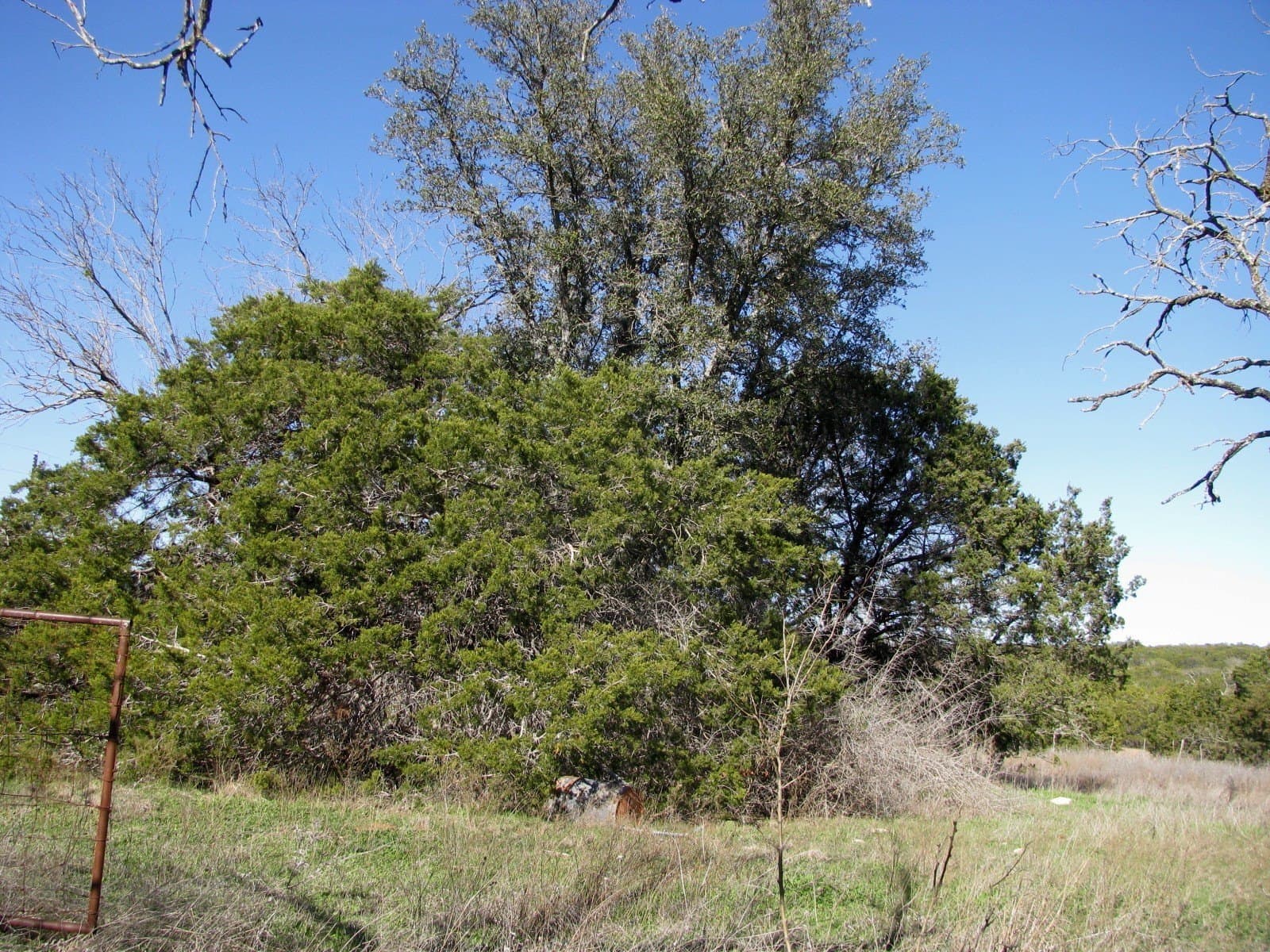 10.01 acres in Hamilton County - photo 24