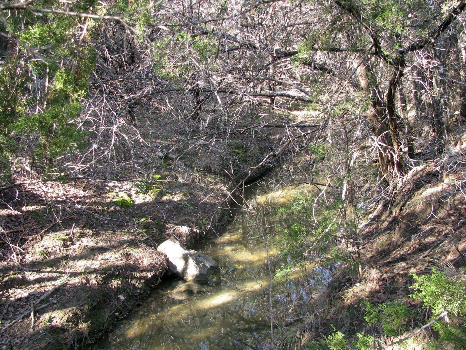 10.01 acres in Hamilton County - photo 17