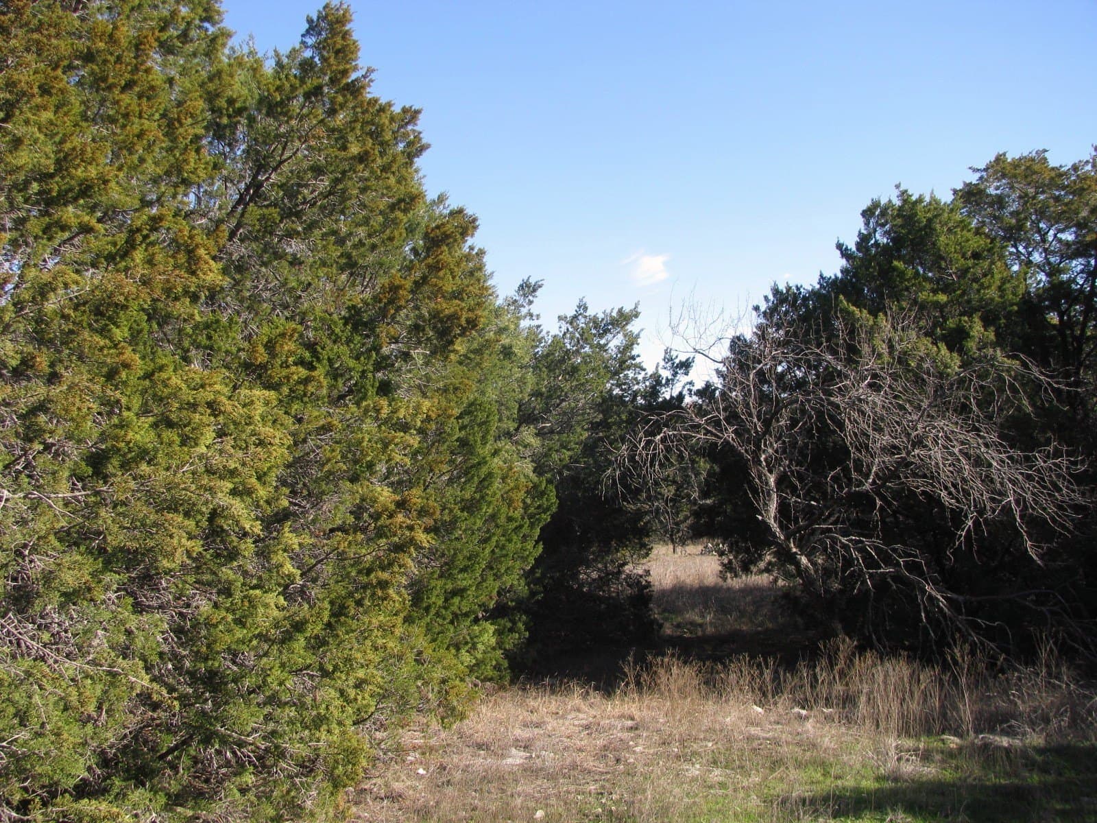 10.01 acres in Hamilton County - photo 4
