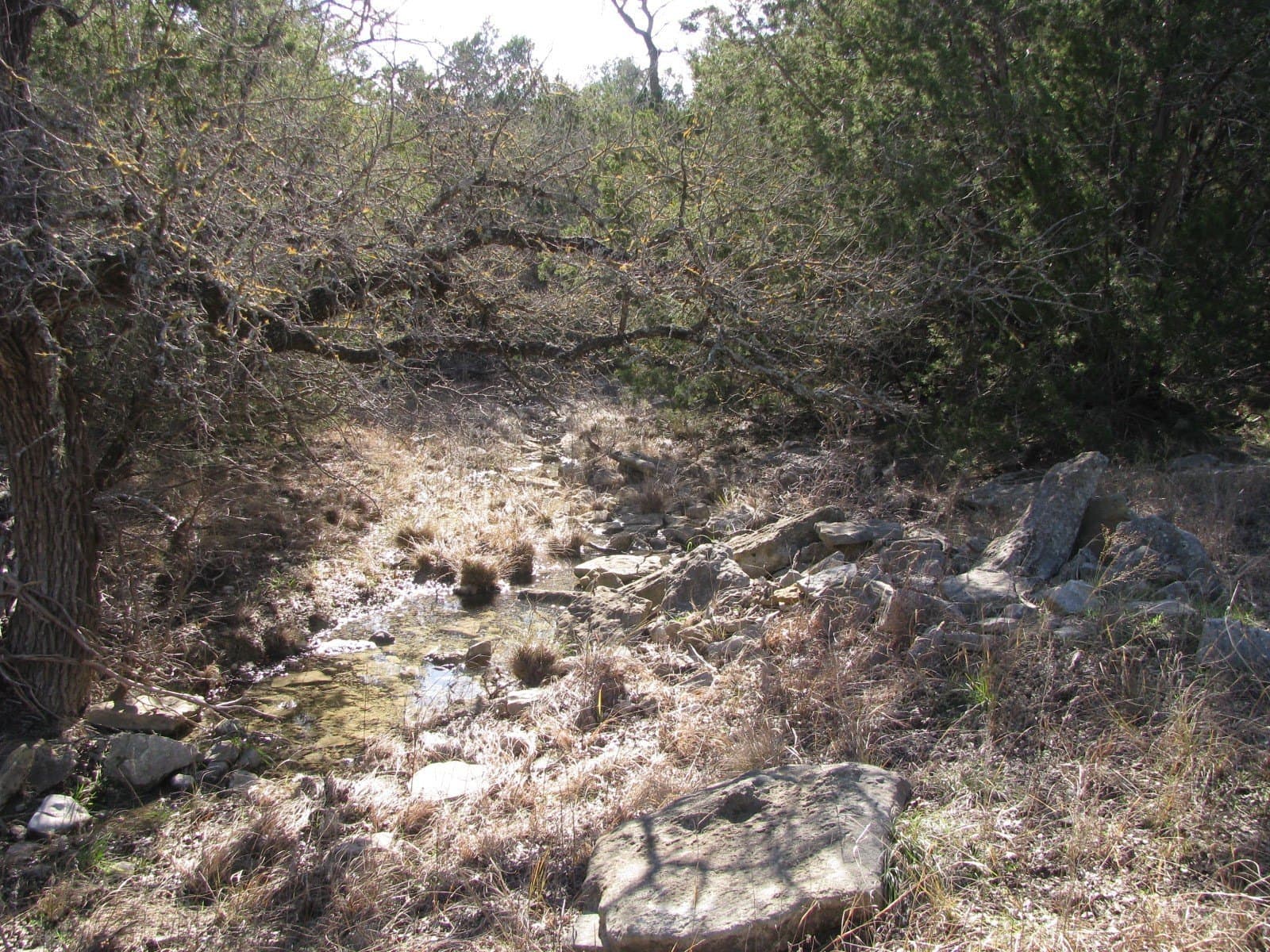 10.01 acres in Hamilton County - photo 10