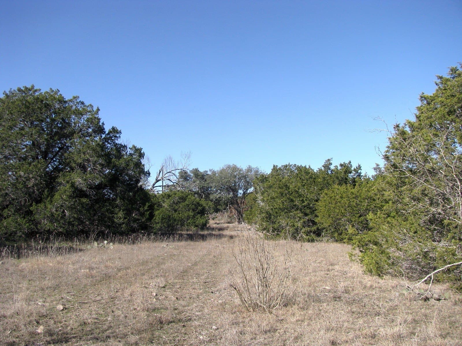 10.01 acres in Hamilton County - photo 19