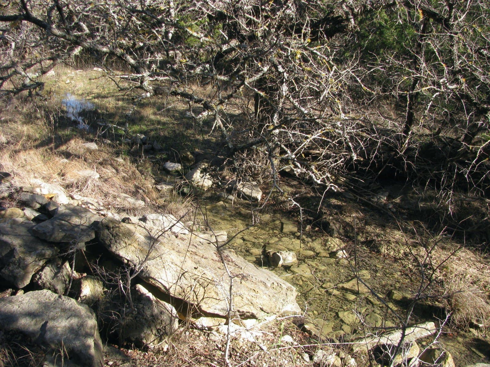 10.01 acres in Hamilton County - photo 11