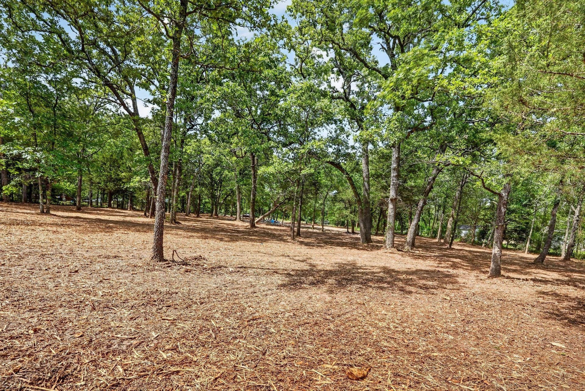 1.84 acres in Van Zandt County - photo 6