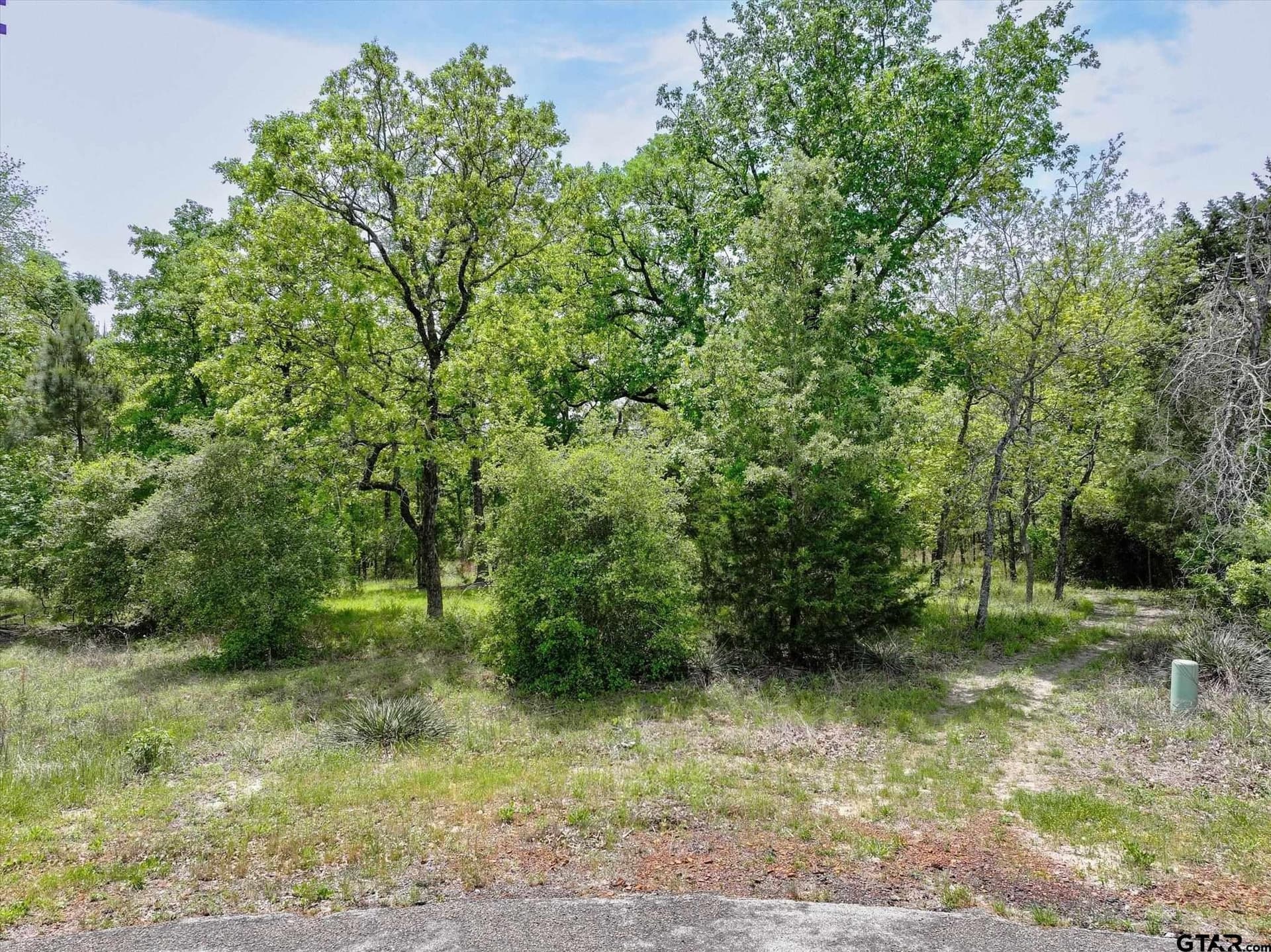 2.38 acres in Henderson County