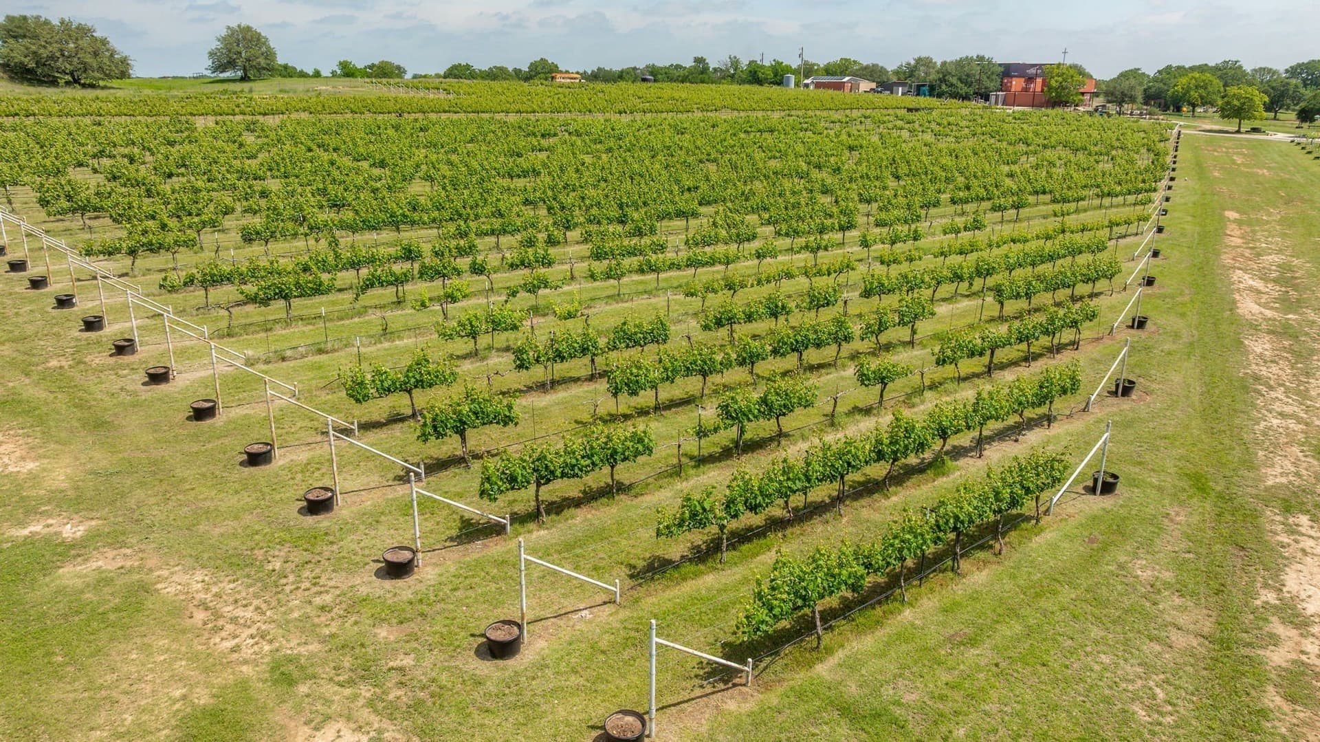 20.09 acres in Erath County - photo 31