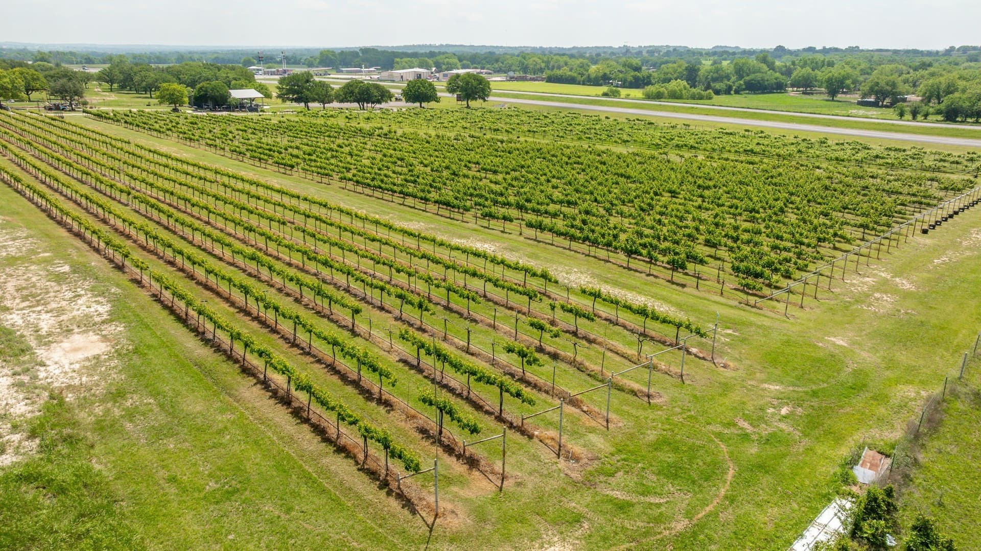 20.09 acres in Erath County - photo 30