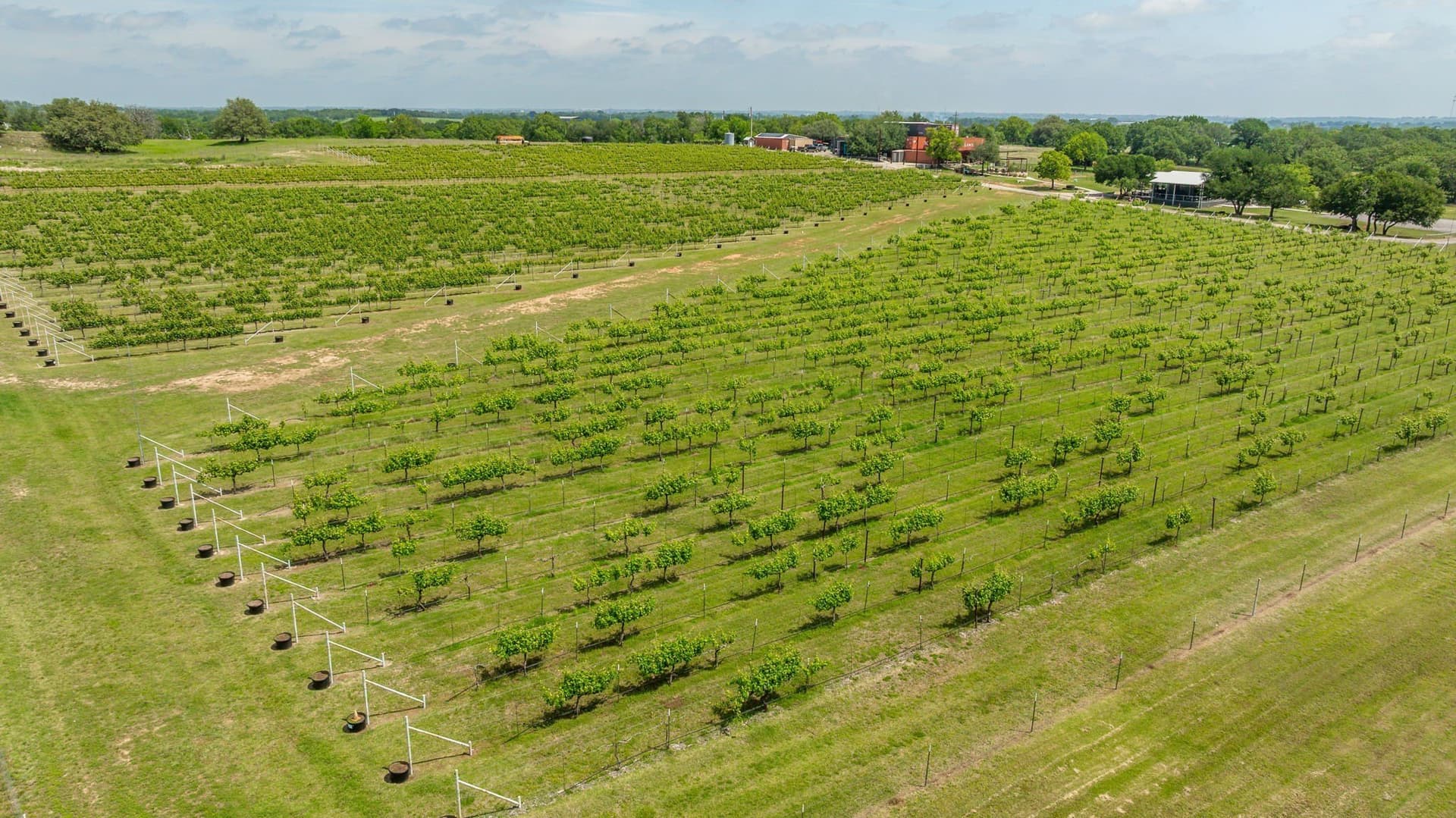 20.09 acres in Erath County - photo 32