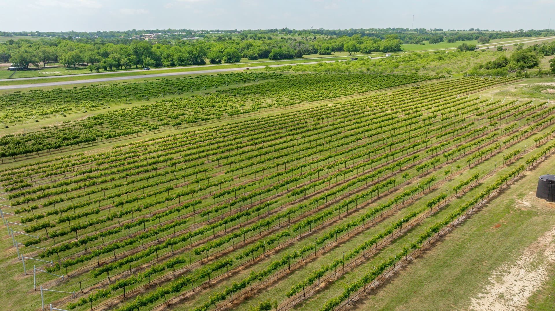 20.09 acres in Erath County - photo 3