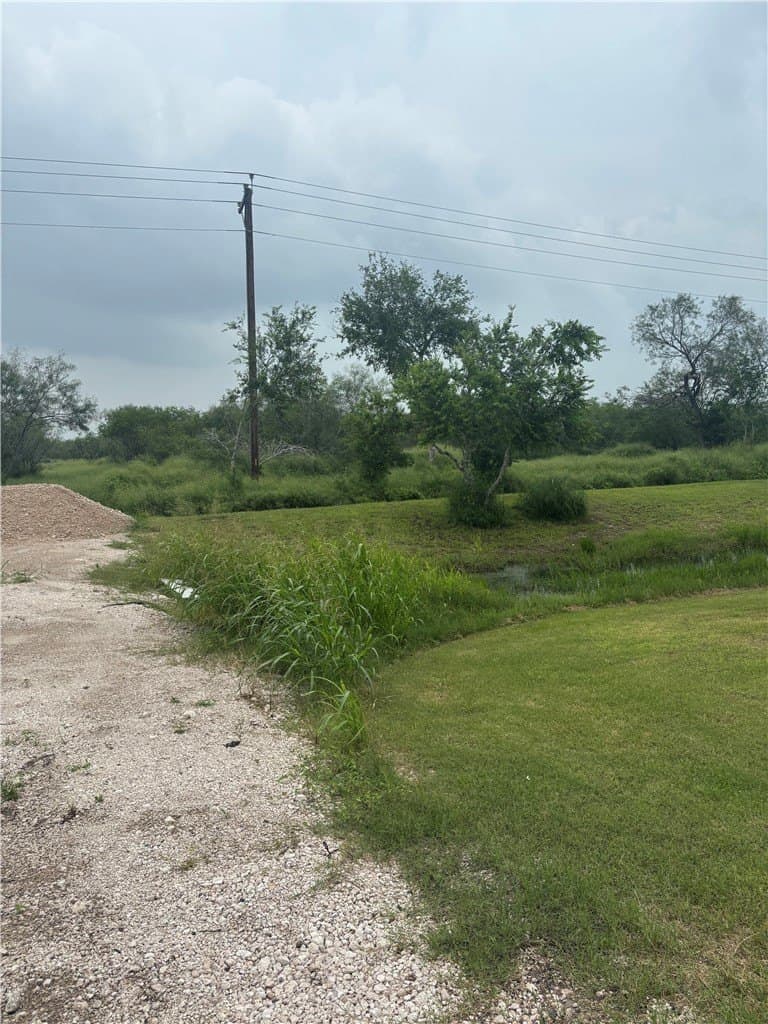 12.95 acres in Jim Wells County gallery image 4