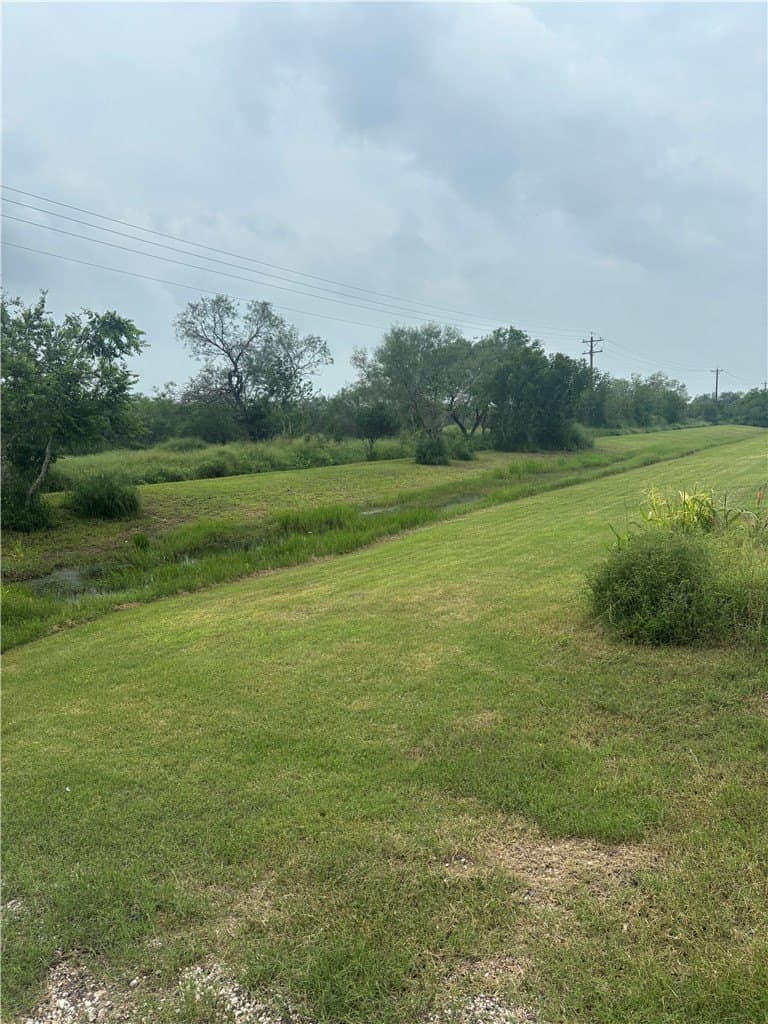 12.95 acres in Jim Wells County gallery image 3