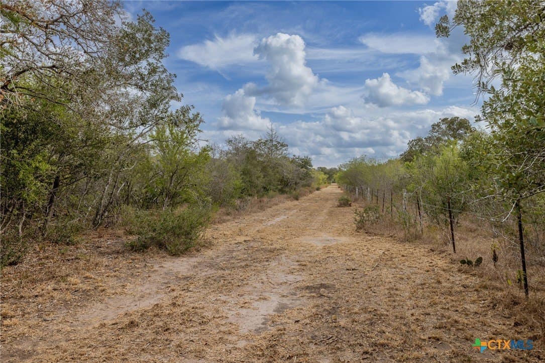 30.75 acres in Goliad County gallery image 2