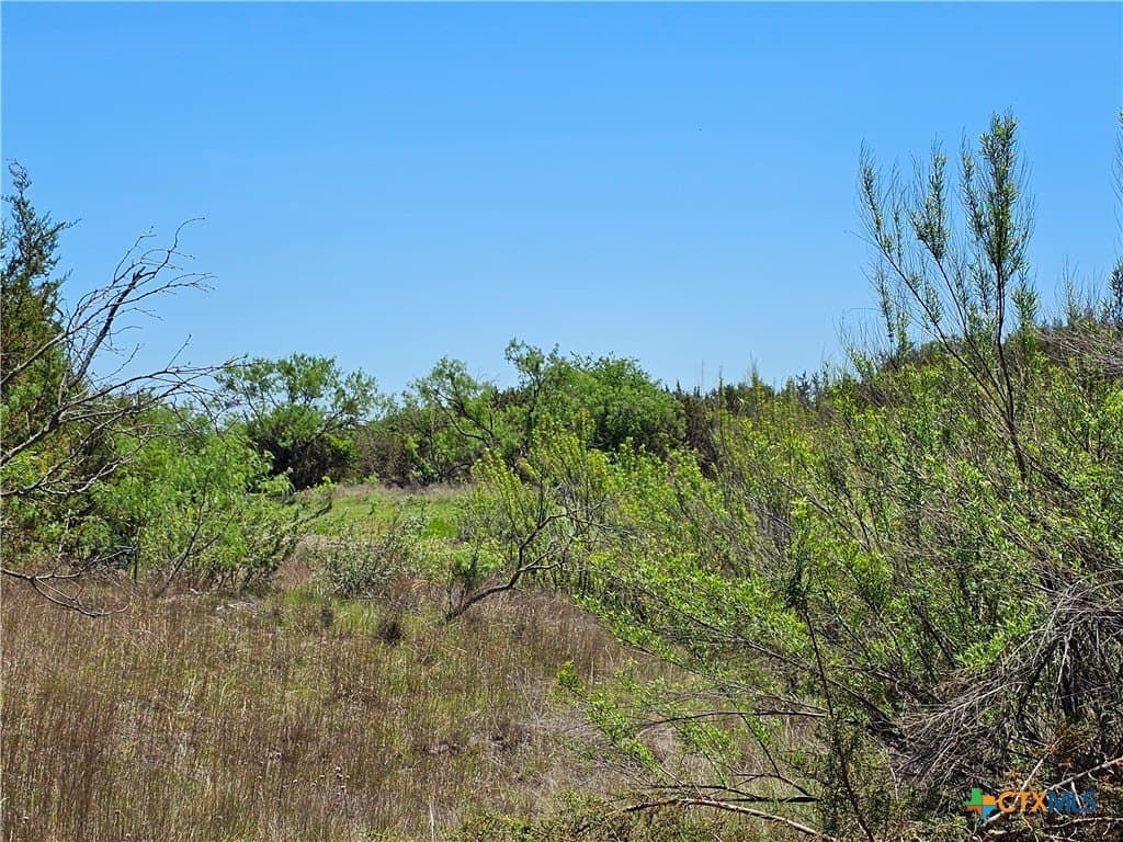 9.18 acres in Burnet County - photo 4