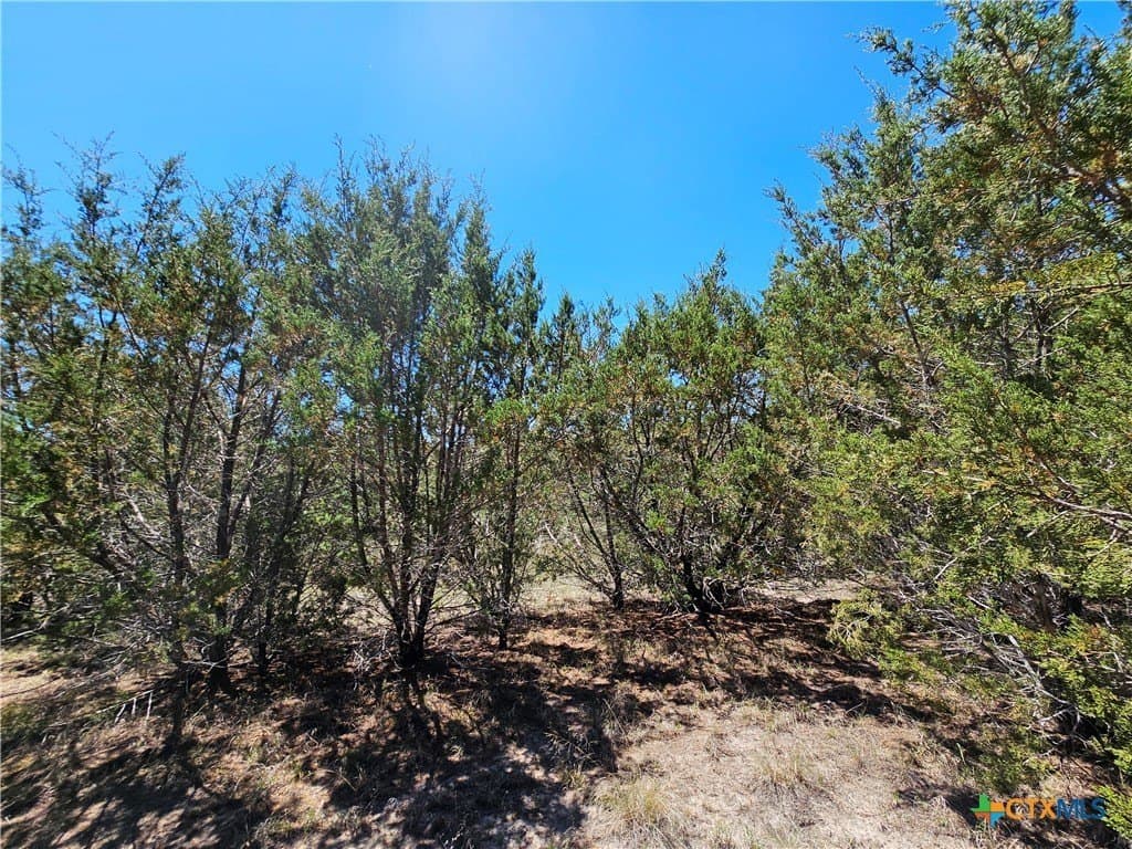 9.18 acres in Burnet County - photo 10