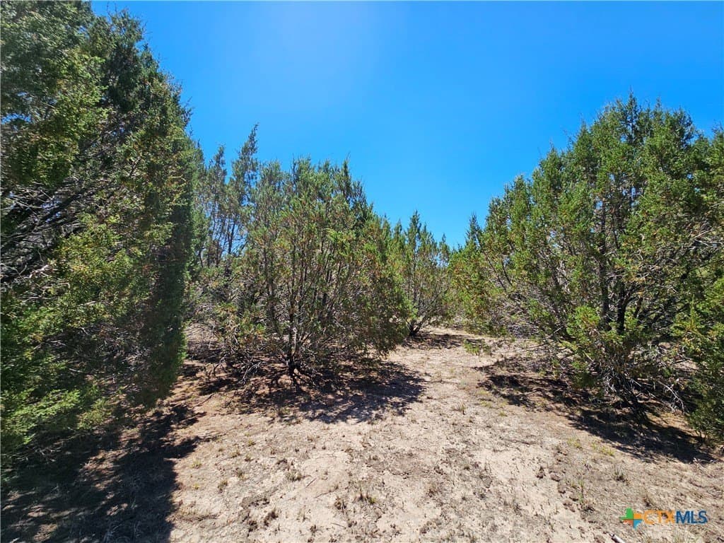 9.18 acres in Burnet County - photo 8