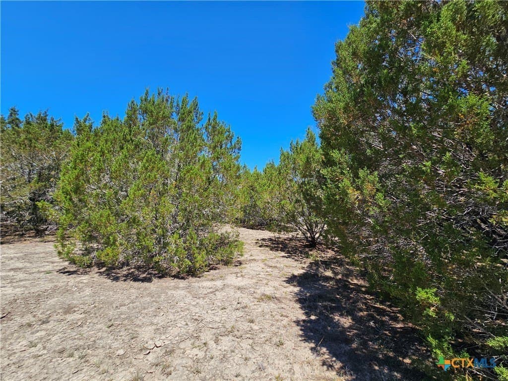 9.18 acres in Burnet County - photo 3
