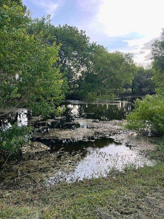 1.36 acres in Fayette County - photo 8