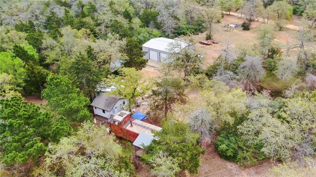 66.13 acres in Milam County gallery image 3