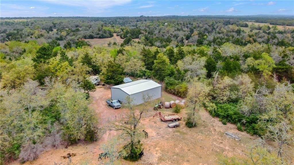 66.13 acres in Milam County gallery image 2