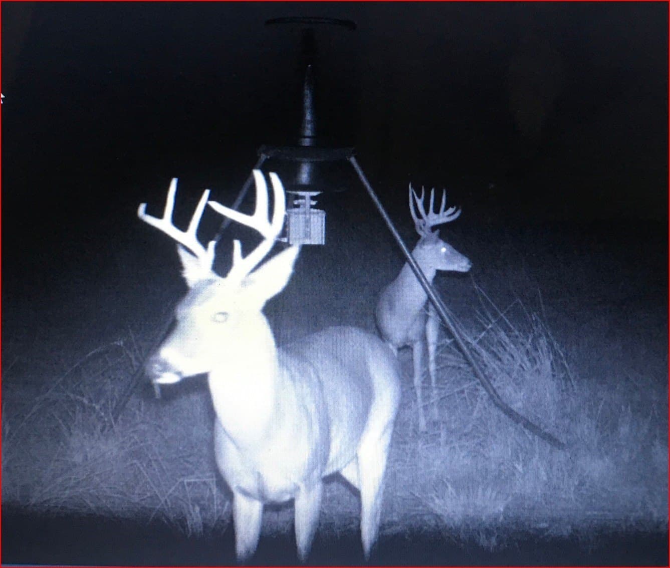 25 acres in Travis County - photo 3