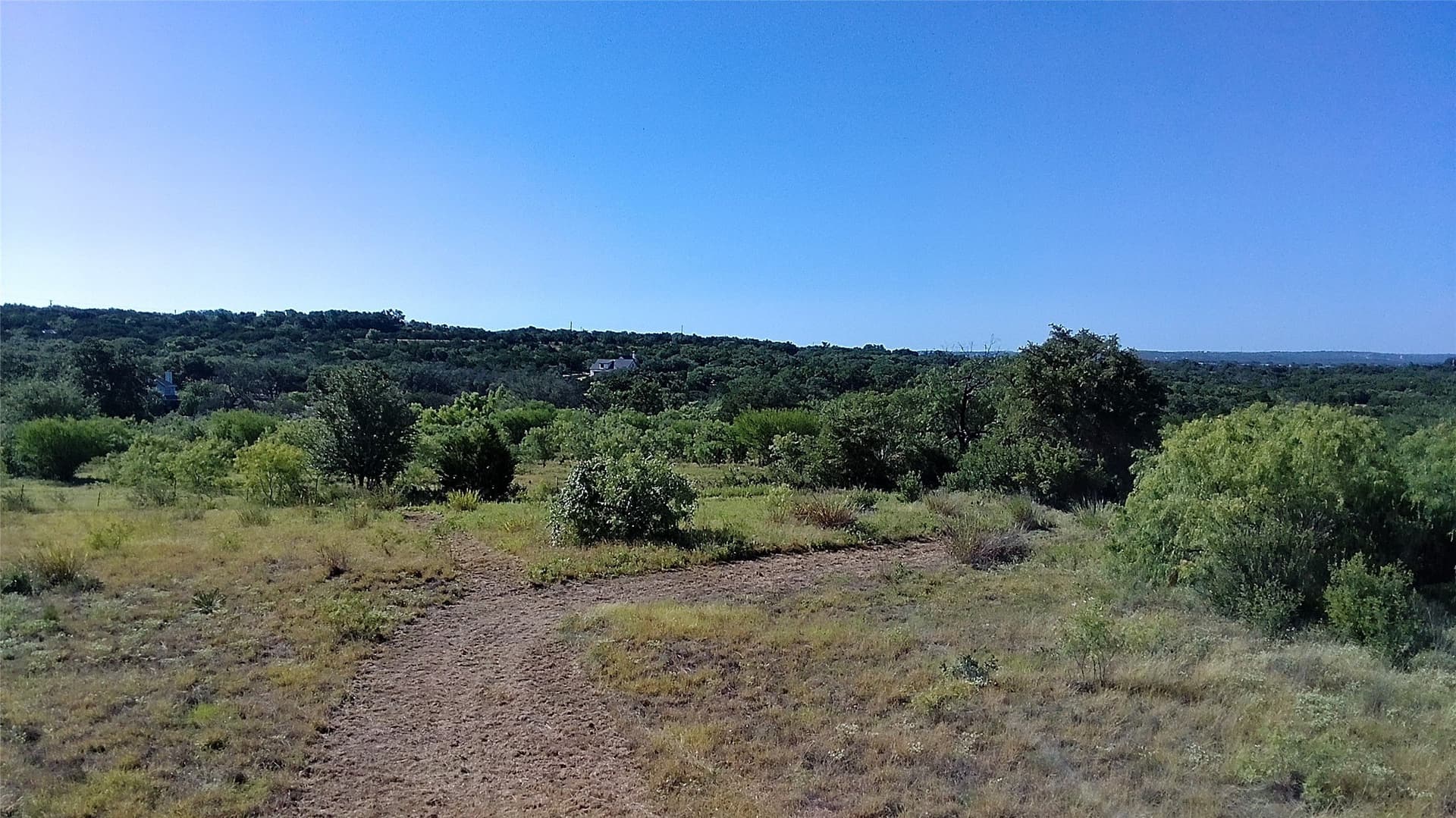 25 acres in Travis County - photo 39