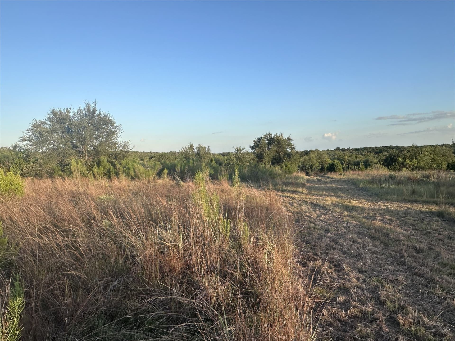 25 acres in Travis County - photo 22