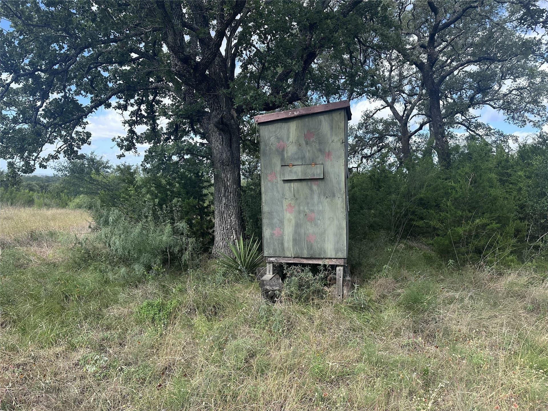 25 acres in Travis County - photo 14