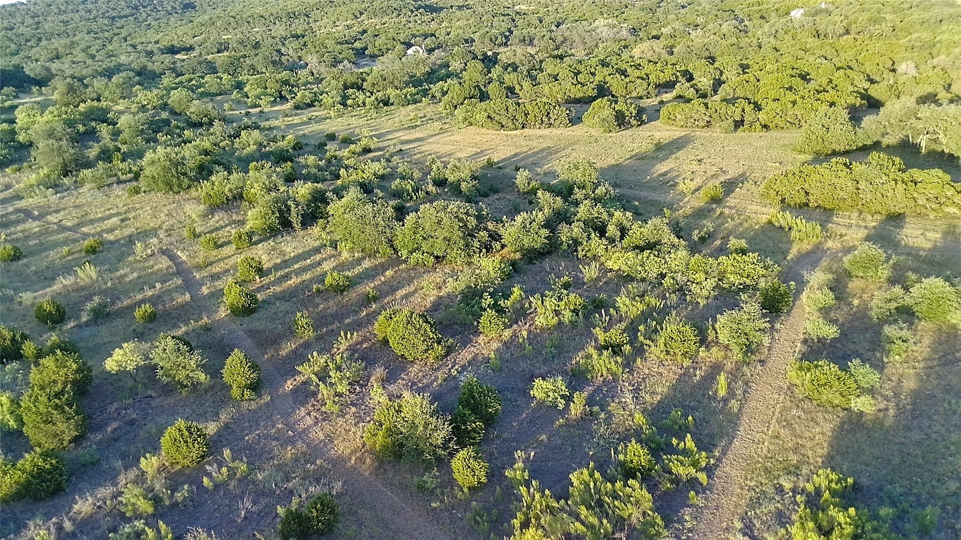 25 acres in Travis County - photo 19