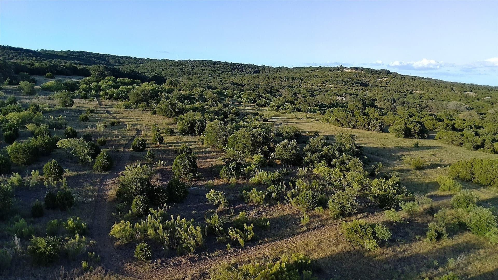 25 acres in Travis County - photo 17