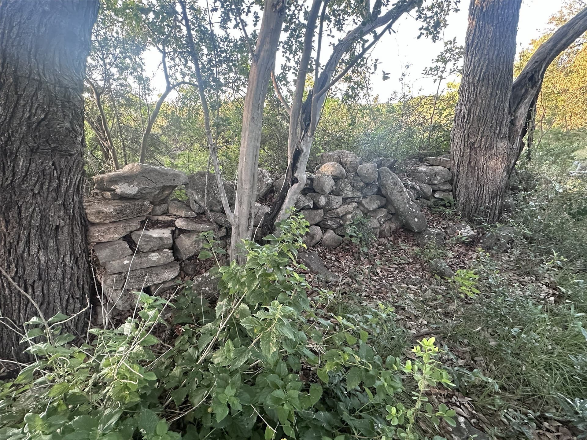 25 acres in Travis County - photo 24