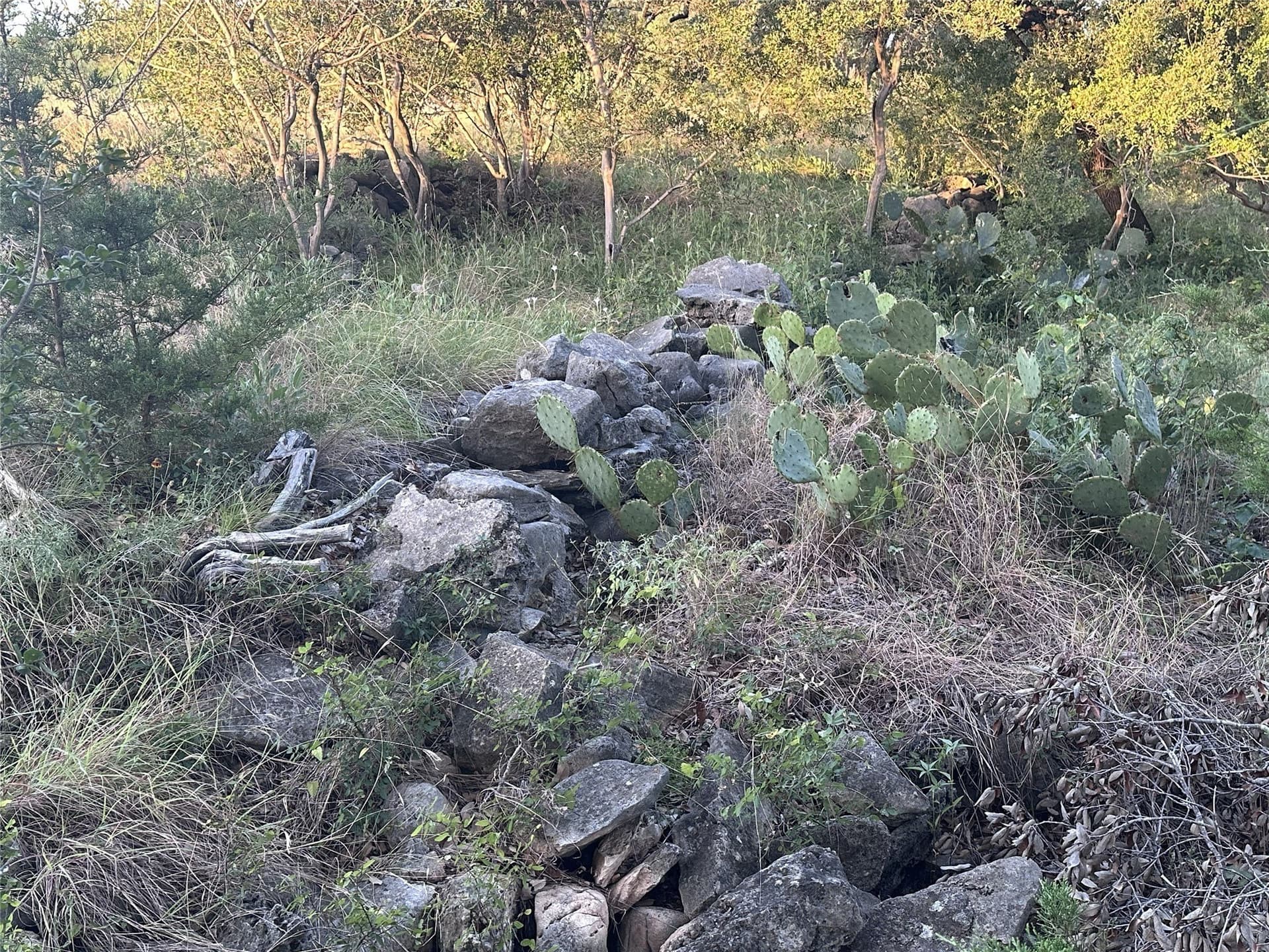 25 acres in Travis County - photo 25