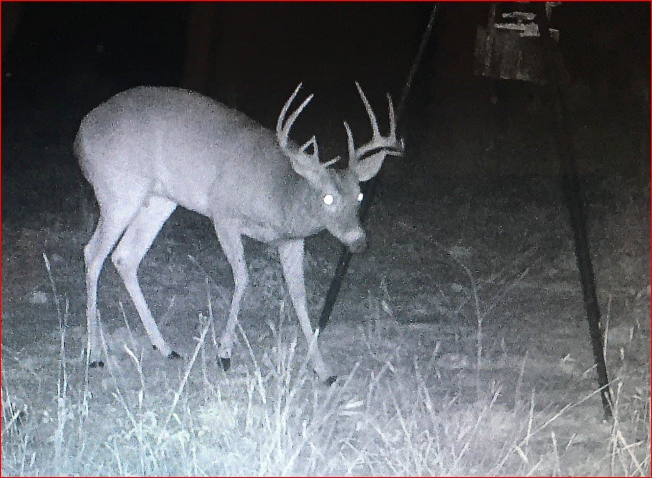 25 acres in Travis County - photo 4