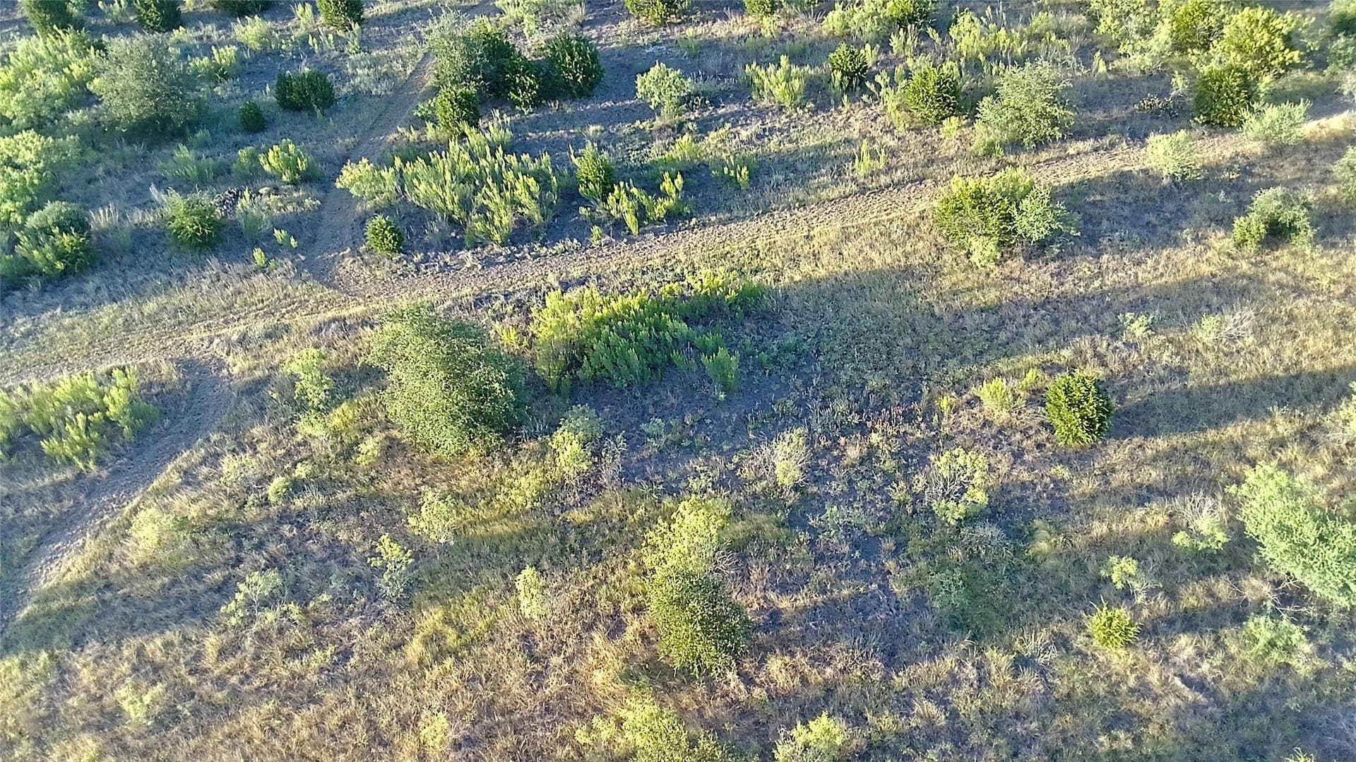 25 acres in Travis County - photo 15