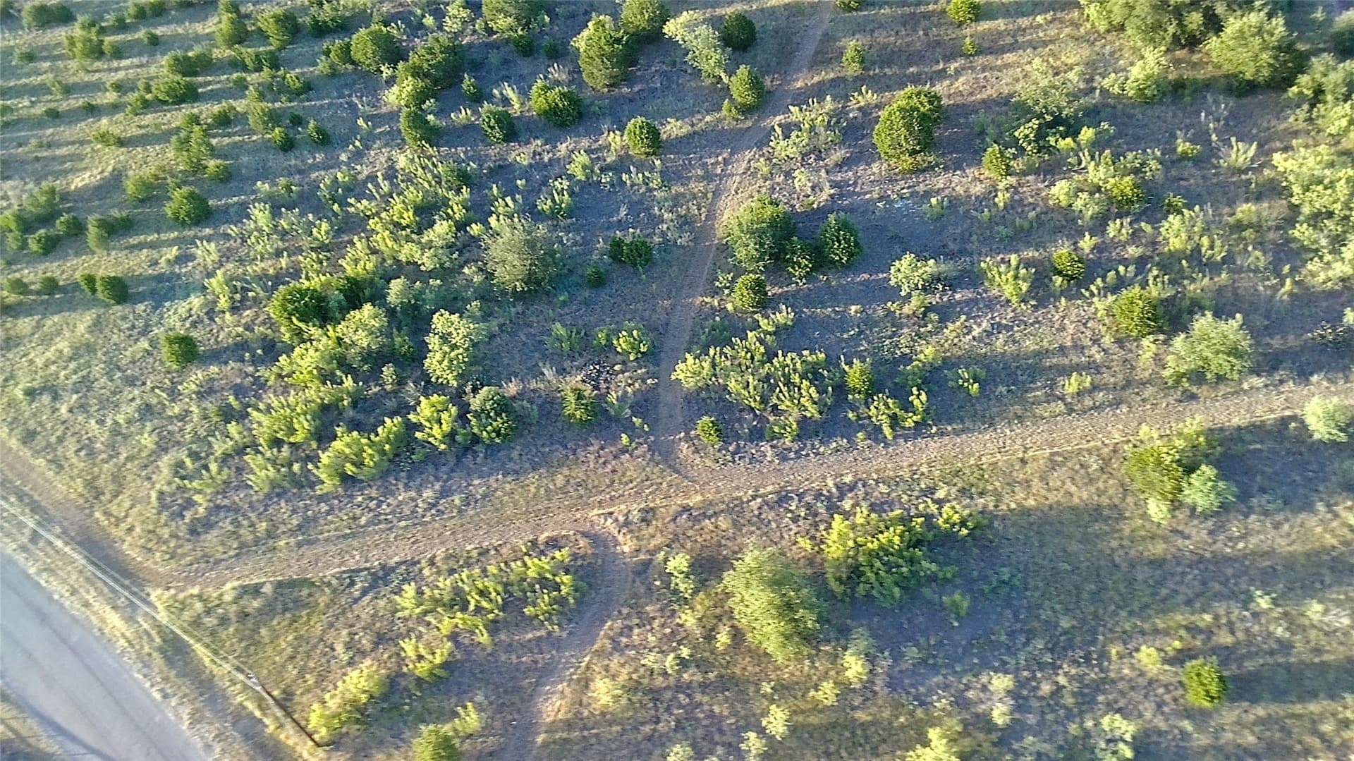 25 acres in Travis County - photo 16